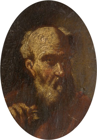 Kopf eines alten Mannes von Salvator Rosa